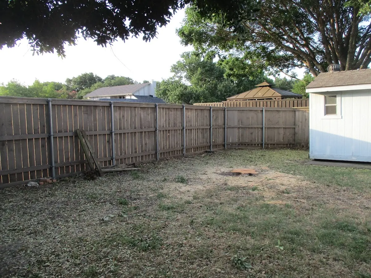 Cleared yard after professional tree removal in Yorktown
